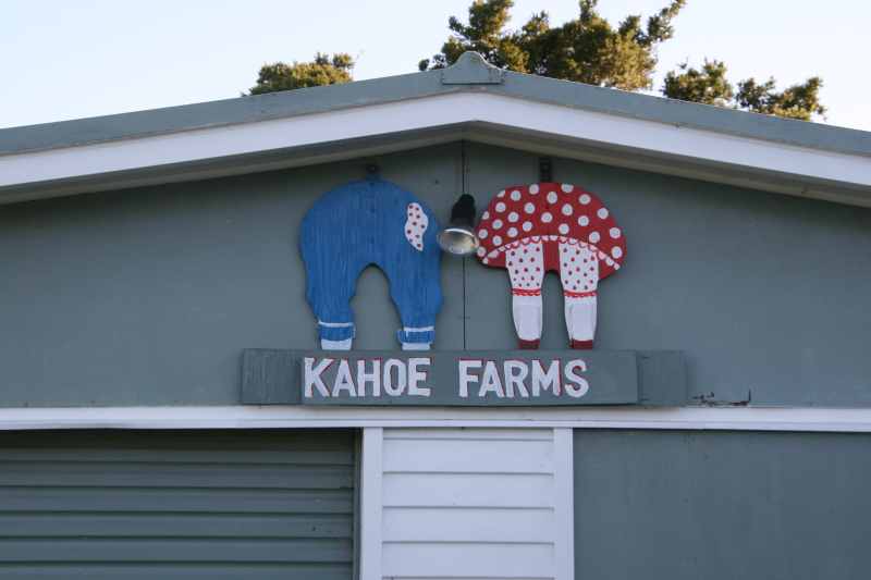 Nieuw-Zeeland 2011 - 0294